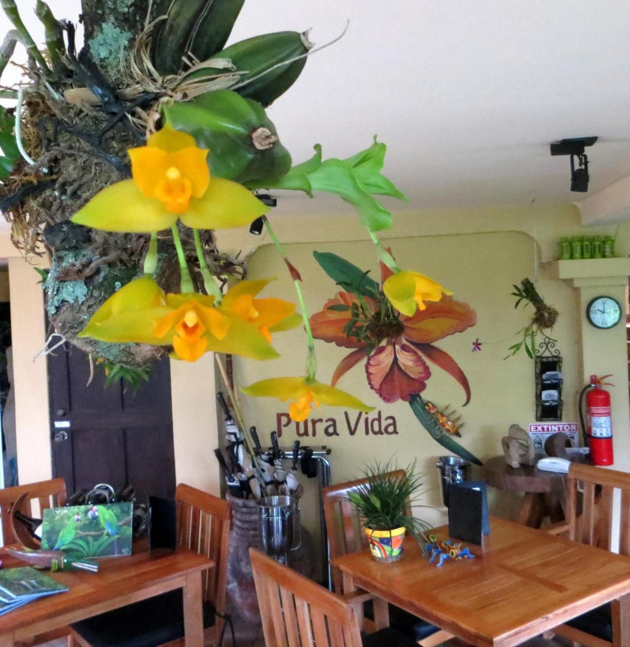 Pura Vida Bed & Breakfast Tambor (Alajuela)